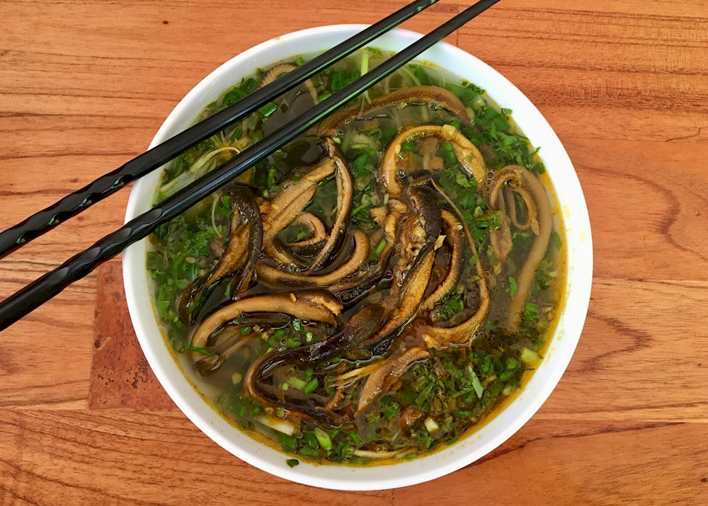 Hanoi eel vermicelli is a traditional Vietnamese dish, made from eel, vermicelli, herbs and rich broth